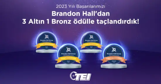 TEI'ye Ödül Yağmuru