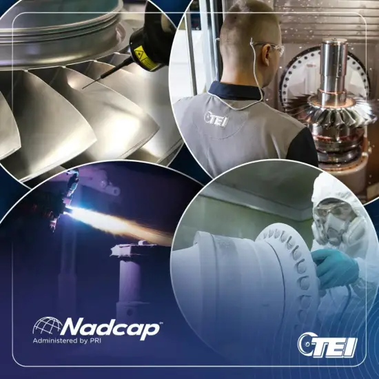 TEI Dünya Birincisi